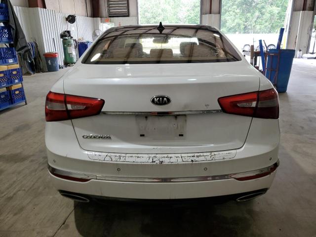 2014 Kia Cadenza Premium VIN: KNALN4D76E5138520 Lot: 54118324