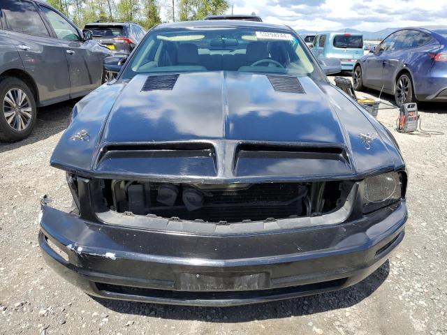 2005 Ford Mustang VIN: 1ZVFT80N255174493 Lot: 53294244