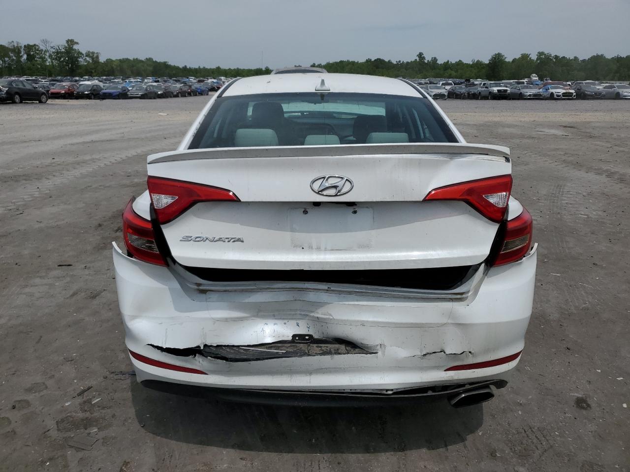5NPE24AF2GH293990 2016 Hyundai Sonata Se