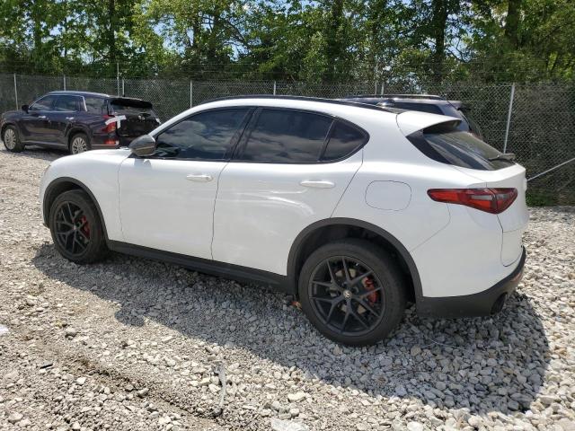 2019 Alfa Romeo Stelvio VIN: ZASPAJANXK7C71175 Lot: 56283234