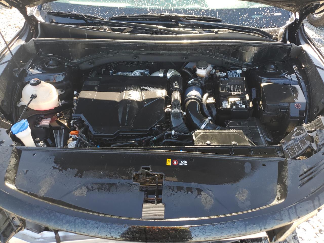 5XYRK4LF8NG111342 2022 Kia Sorento Sx