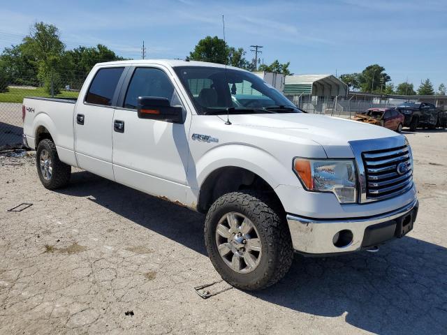 2010 Ford F150 Supercrew VIN: 1FTFW1EV9AFC78199 Lot: 56729704