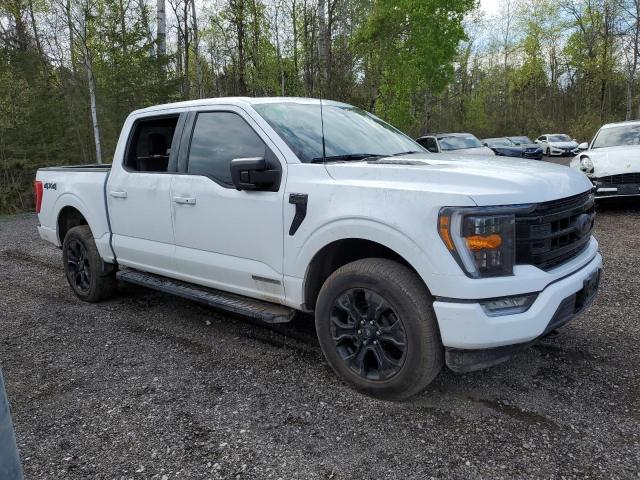 2023 Ford F150 Supercrew VIN: 1FTFW1ED8PFC69302 Lot: 53729404