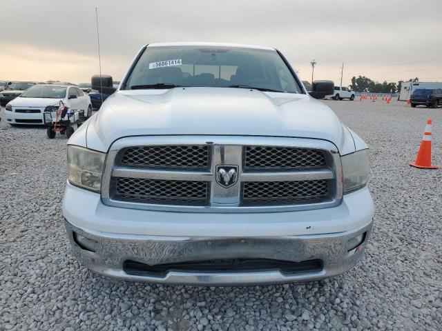 2010 Dodge Ram 1500 VIN: 1D7RB1CT8AS138443 Lot: 56861414