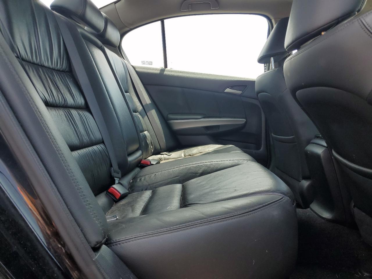 1HGCP26899A049613 2009 Honda Accord Exl