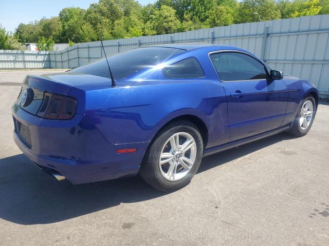 2014 Ford Mustang VIN: 1ZVBP8AM9E5317920 Lot: 56072164