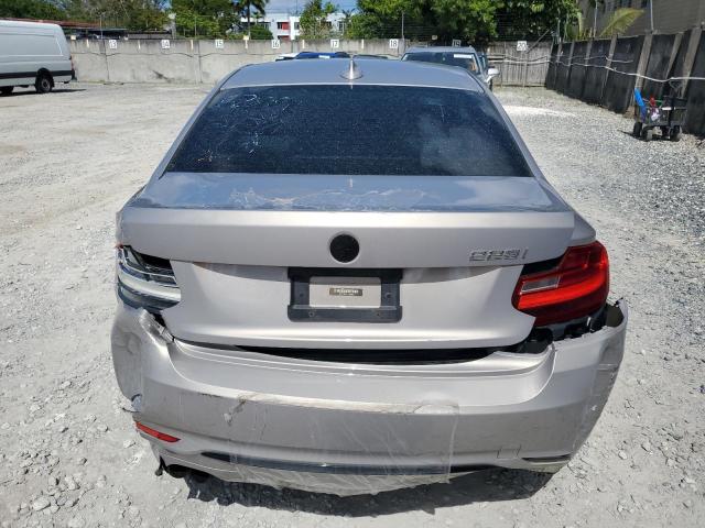 2016 BMW 228 I Sulev VIN: WBA1F9C51GV546234 Lot: 53384634