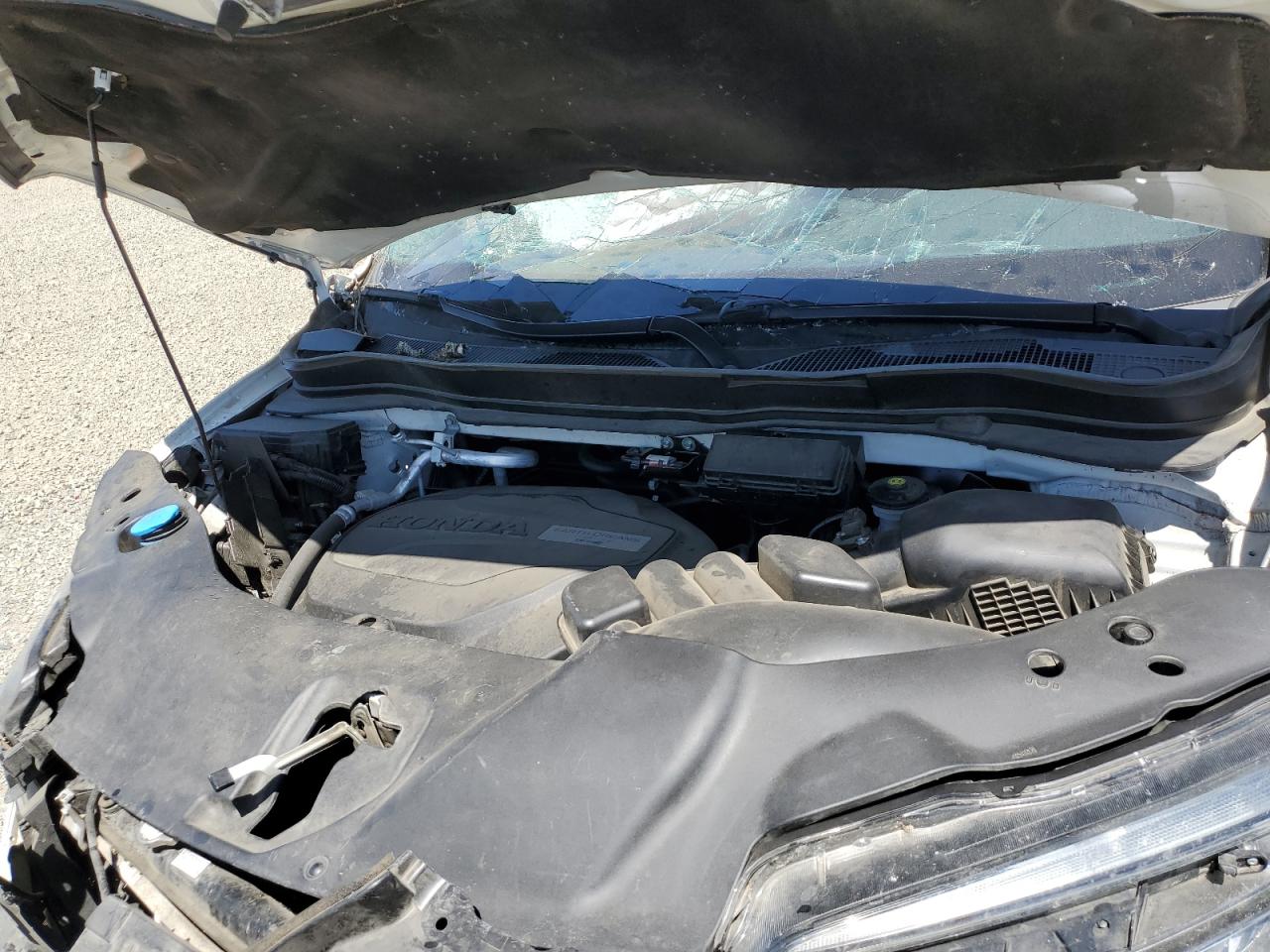 5FNYF6H95KB066121 2019 Honda Pilot Touring