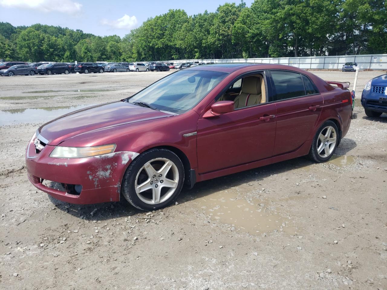 19UUA66225A078096 2005 Acura Tl