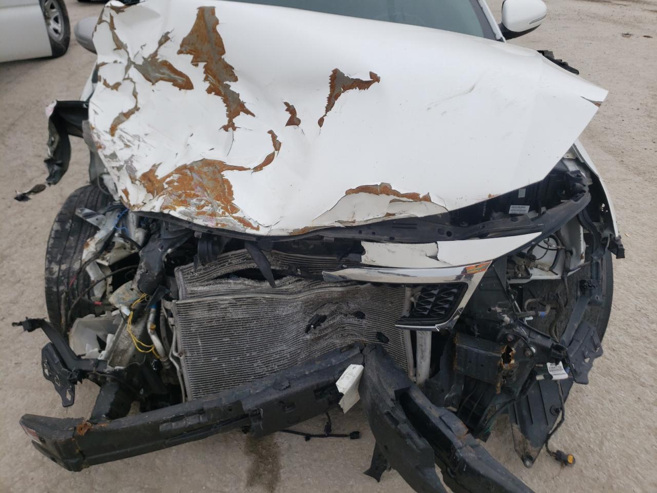 5XXGN4A78DG096323 2013 Kia Optima Ex