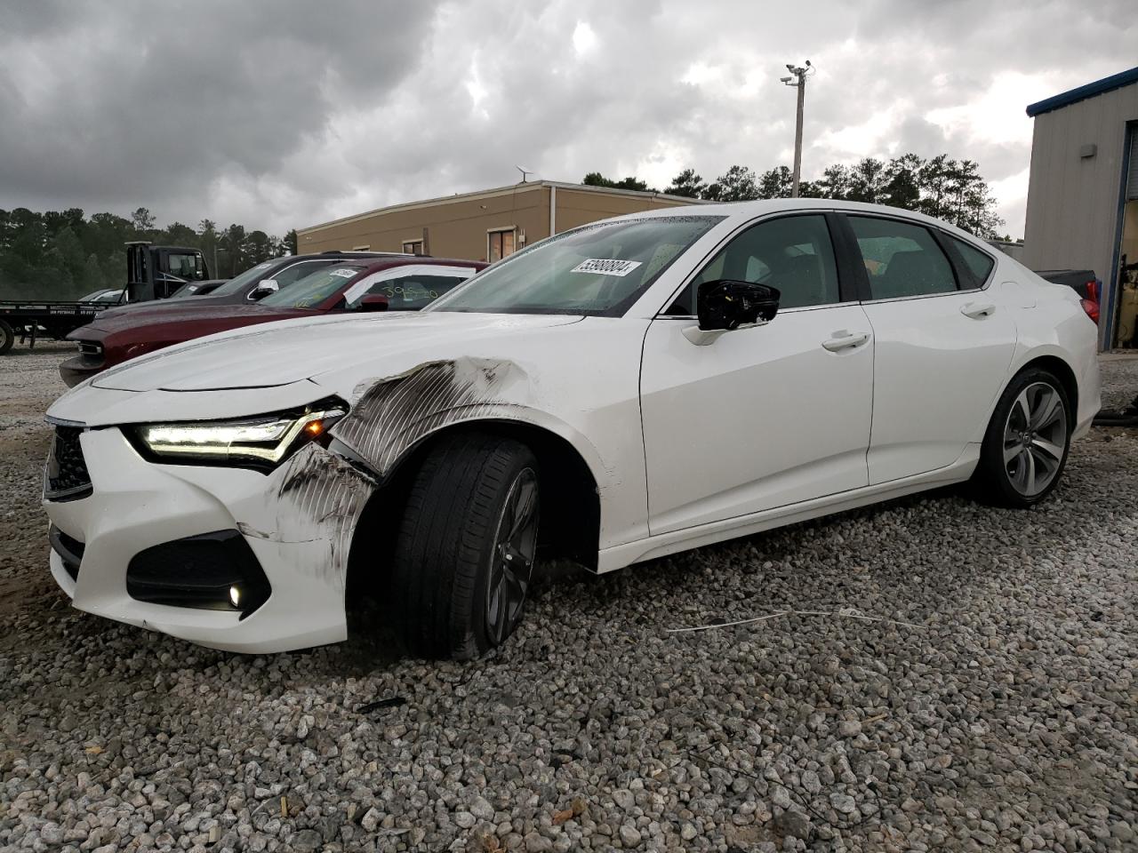 19UUB6F65PA002990 2023 Acura Tlx Advance