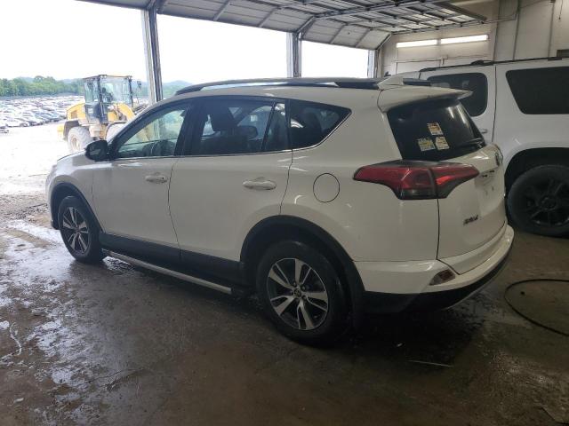 2017 Toyota Rav4 Xle VIN: JTMRFREV5HJ117660 Lot: 54757344