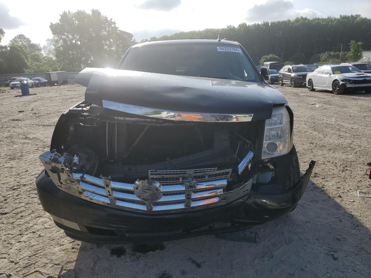 1GYFK26229R221689 2009 Cadillac Escalade Esv Luxury