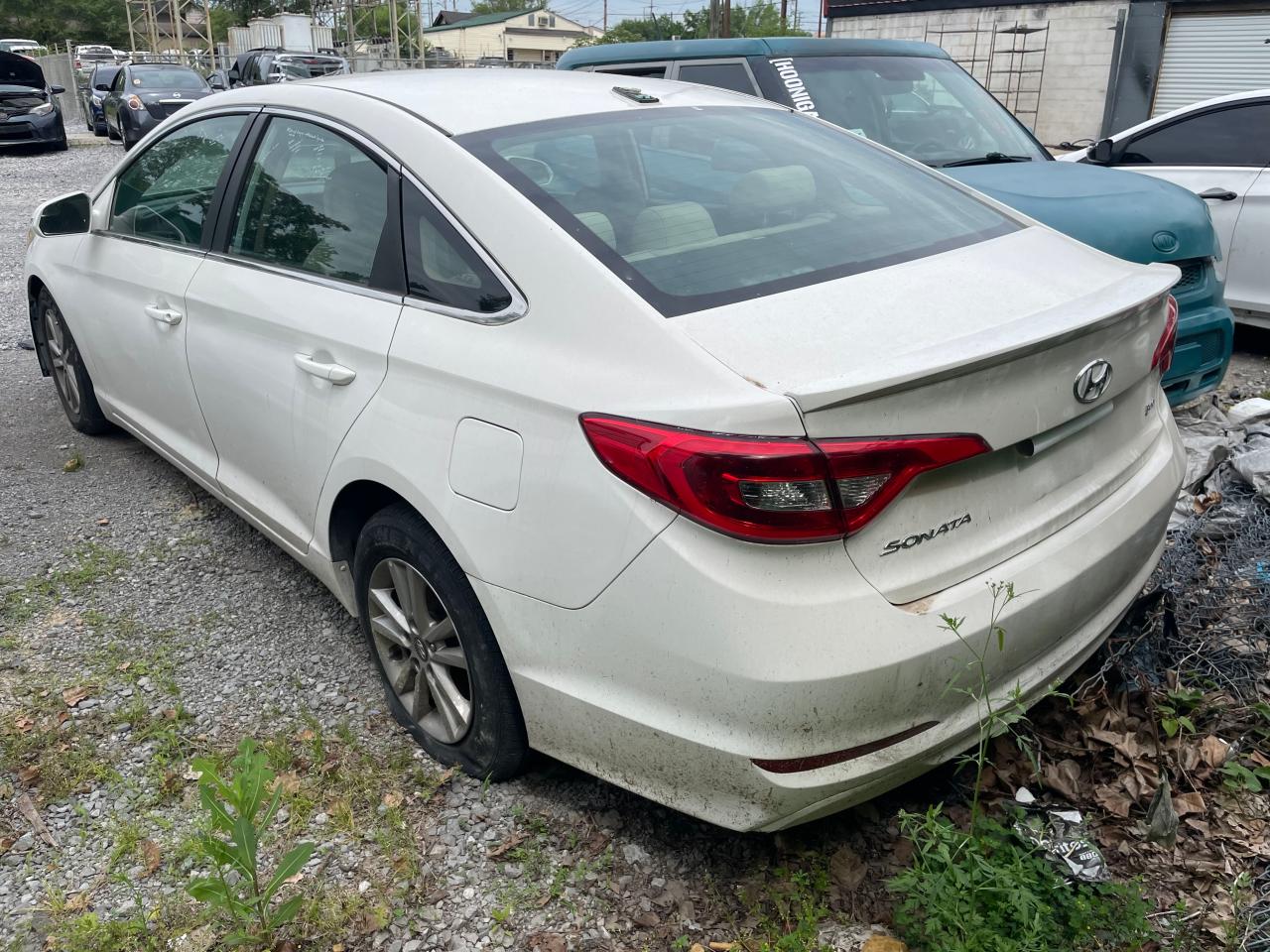 5NPE24AA7GH414940 2016 Hyundai Sonata Eco