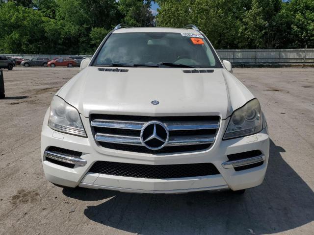 2012 Mercedes-Benz Gl 350 Bluetec VIN: 4JGBF2FEXCA768567 Lot: 55857874