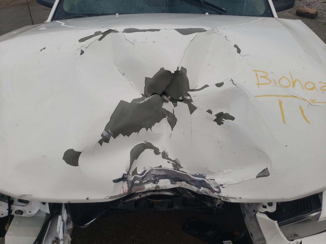 1ZVHT80N885188833 2008 Ford Mustang