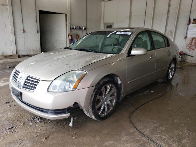 Lot #2552228060 2006 NISSAN MAXIMA SE salvage car