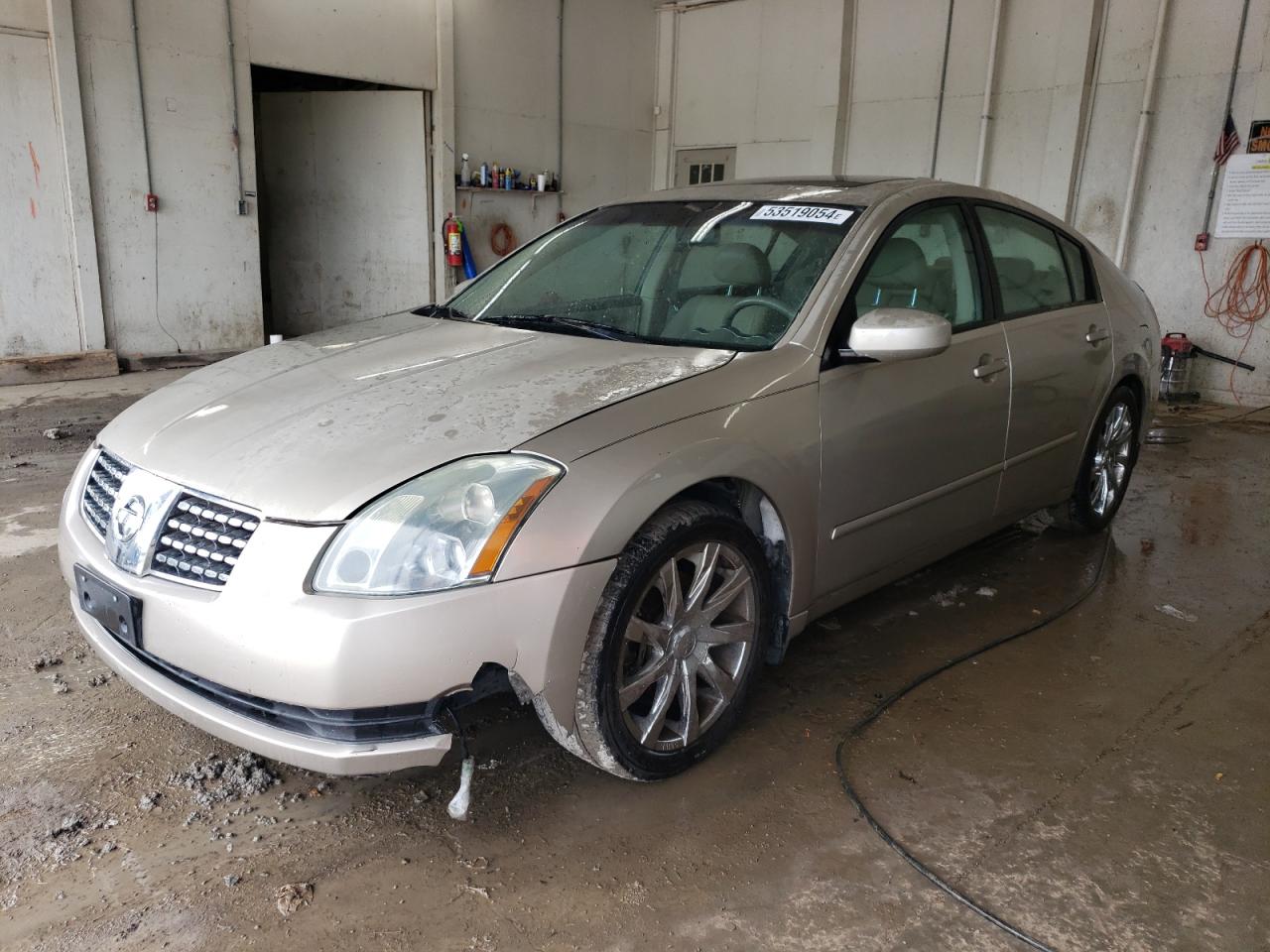 1N4BA41E16C826313 2006 Nissan Maxima Se