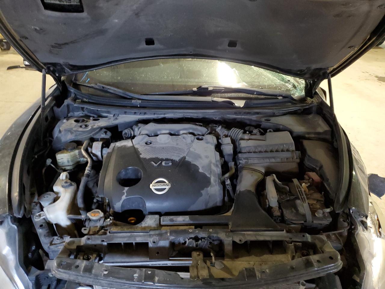 1N4AA5AP6AC856662 2010 Nissan Maxima S