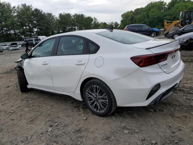 3KPF54AD9NE498105 Kia Forte GT L 2