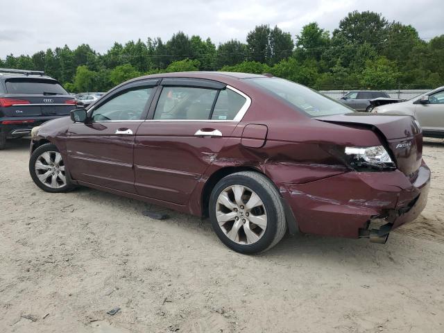 2009 Honda Accord Exl VIN: 1HGCP368X9A029019 Lot: 55316994