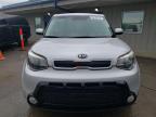 KIA SOUL + photo