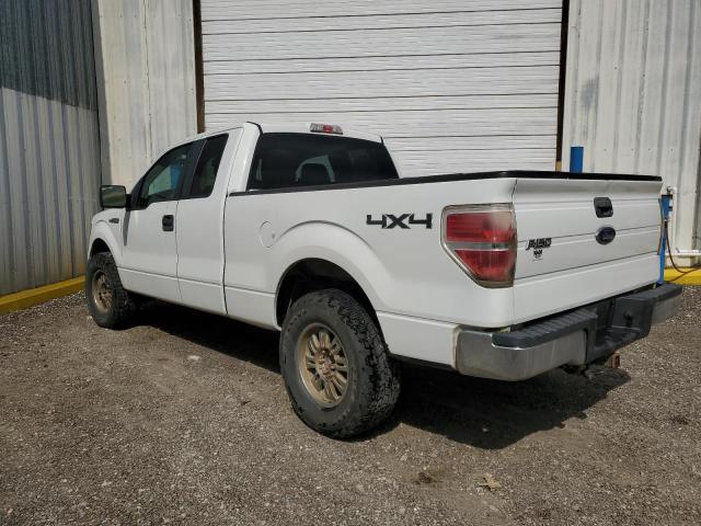 2010 Ford F150 Super Cab VIN: 1FTEX1E80AKE30655 Lot: 55870834