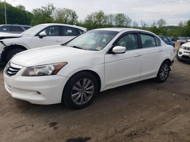 Lot #2538122408 2011 HONDA ACCORD EXL salvage car