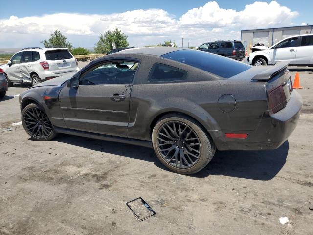 2006 Ford Mustang VIN: 1ZVFT80NX65113569 Lot: 55021184