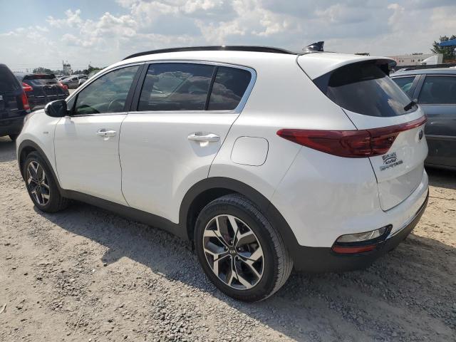 2022 Kia Sportage Ex VIN: KNDPNCAC7N7007309 Lot: 57011254