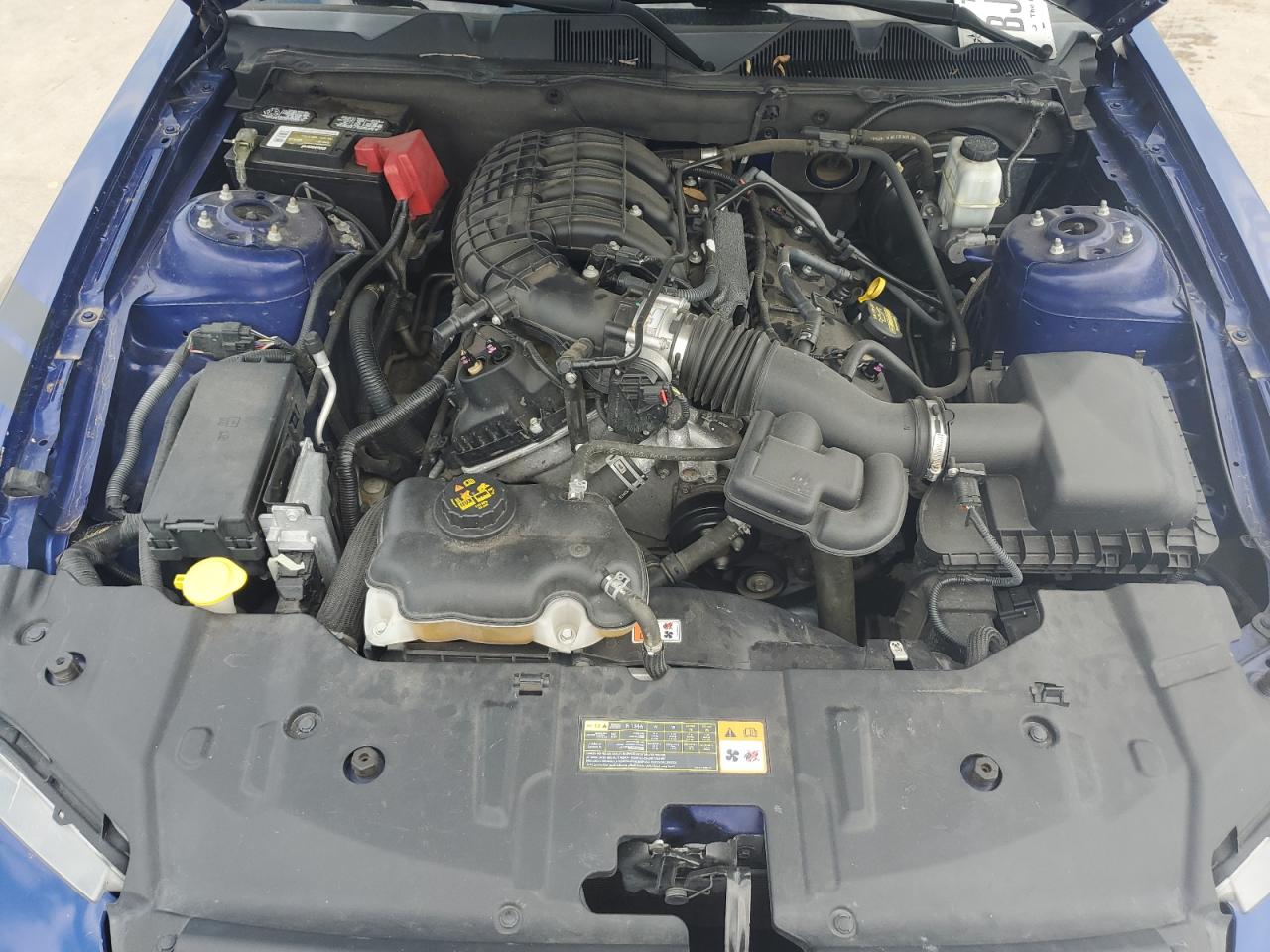 1ZVBP8AM5D5274658 2013 Ford Mustang