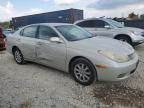 LEXUS ES 300 photo