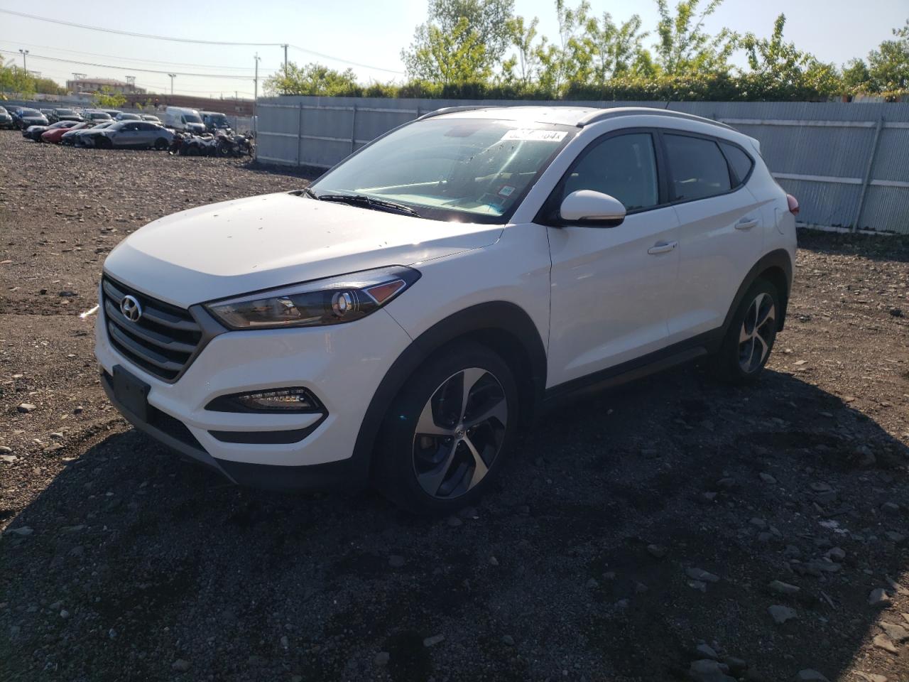 Lot #2519481823 2016 HYUNDAI TUCSON LIM