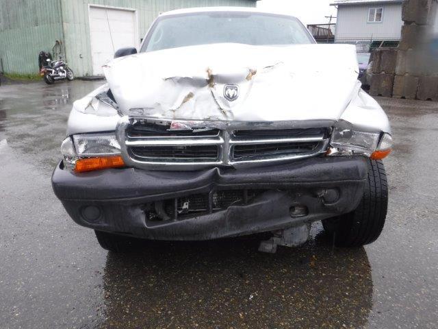 2004 Dodge Dakota Sxt VIN: 1D7HG12KX4S556979 Lot: 56160704