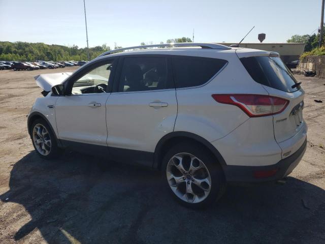 2014 Ford Escape Titanium VIN: 1FMCU9JX1EUD76476 Lot: 54921184