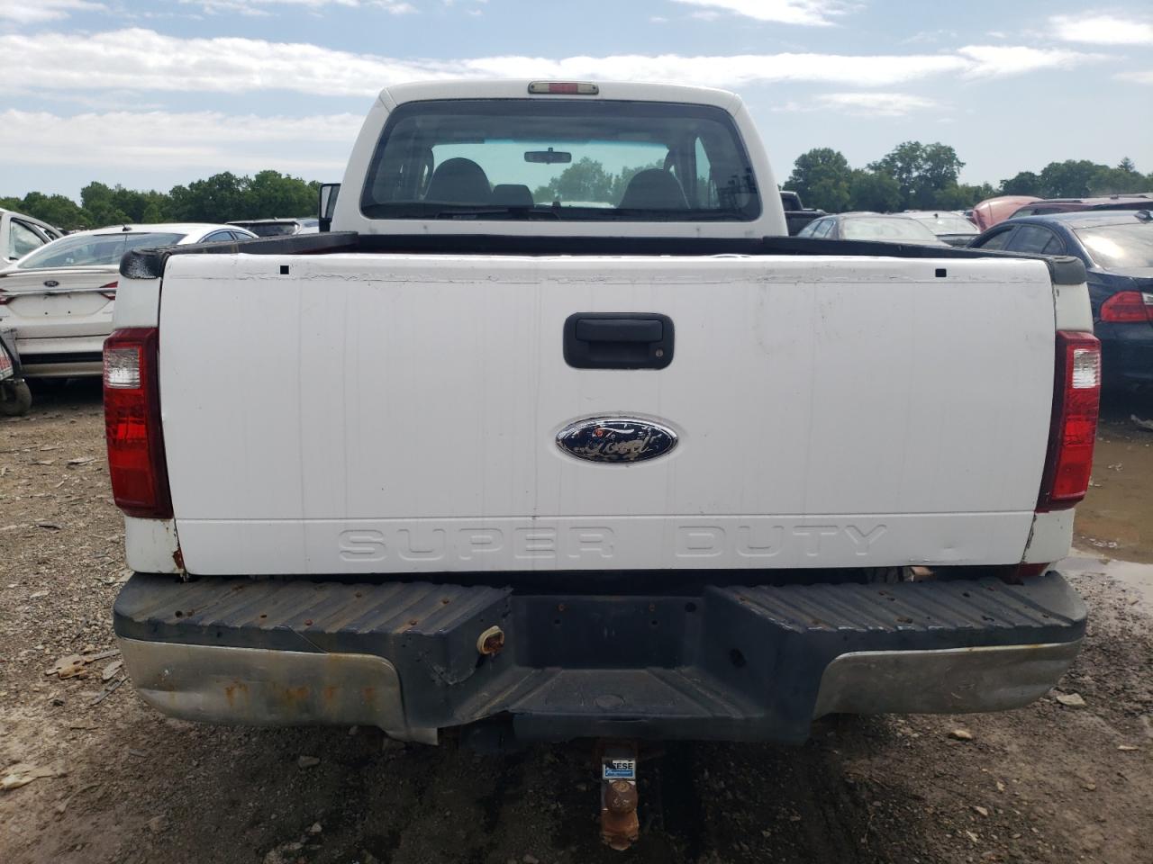 1FTSX21589EA83560 2009 Ford F250 Super Duty