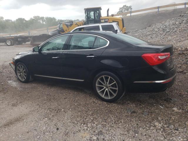 2014 Kia Cadenza Premium VIN: KNALN4D70E5159704 Lot: 53766994