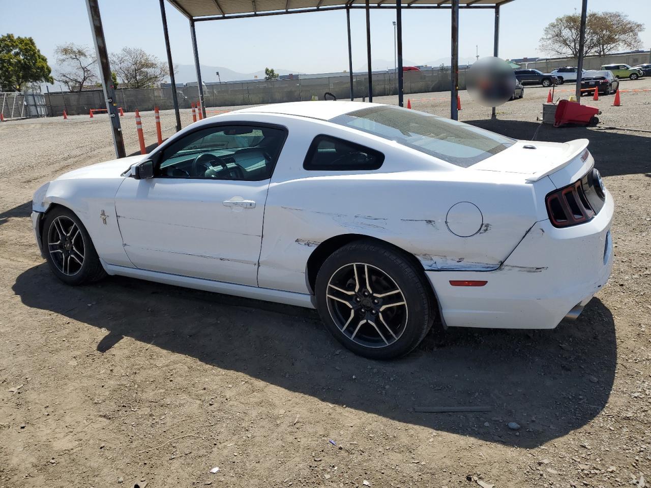 1ZVBP8AM2E5259410 2014 Ford Mustang