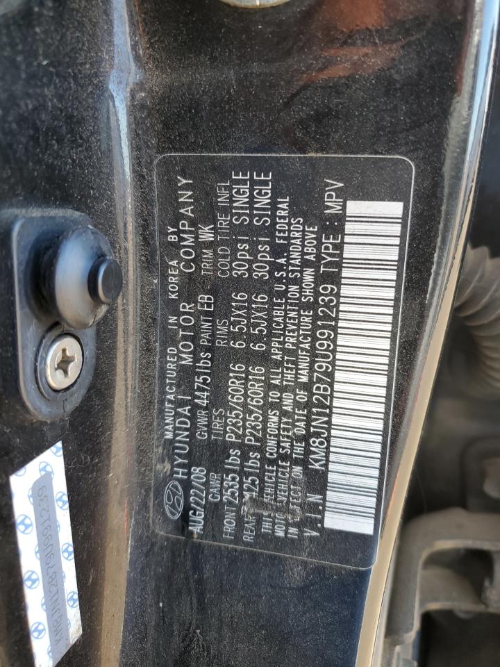 KM8JN12B79U991239 2009 Hyundai Tucson Se