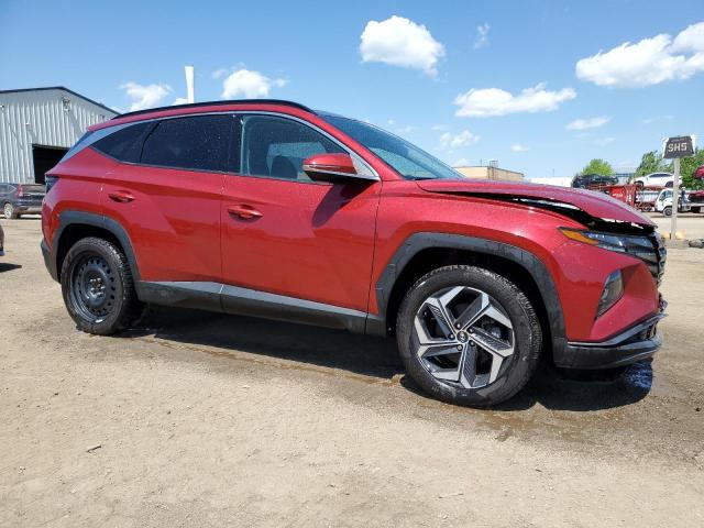 2023 Hyundai Tucson Luxury VIN: KM8JCCA19PU086234 Lot: 56192814