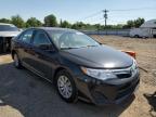 TOYOTA CAMRY L photo