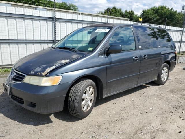 2004 Honda Odyssey Exl VIN: 5FNRL18074B062219 Lot: 56092754