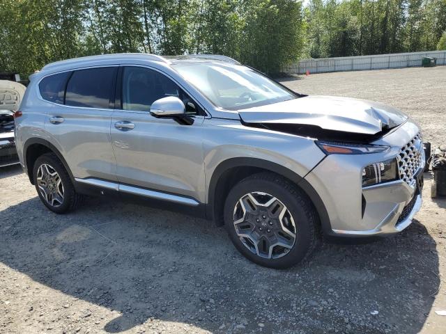 2023 Hyundai Santa Fe Limited VIN: 5NMS5DA19PH013705 Lot: 56336944