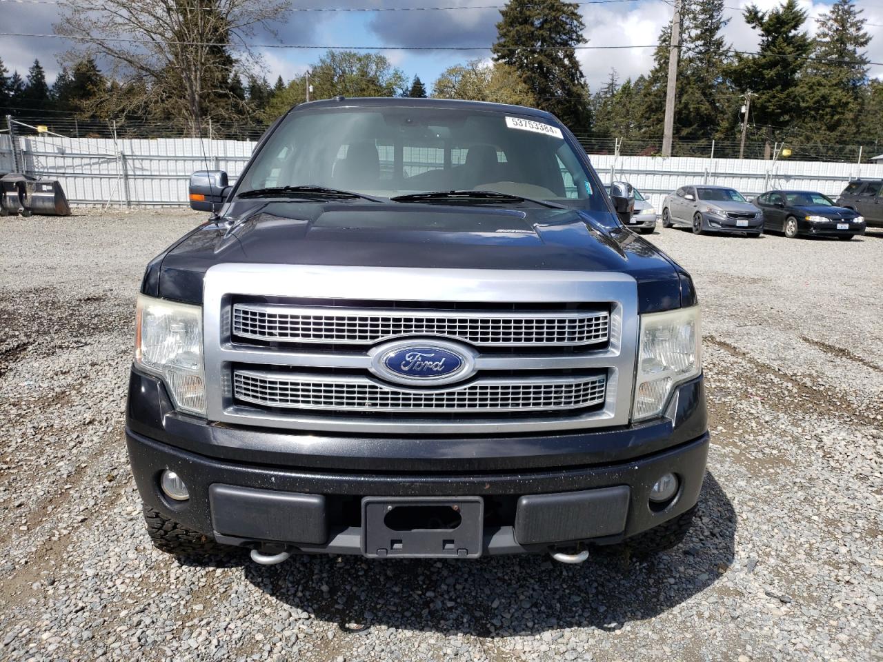 1FTFW1EV4AFC13549 2010 Ford F150 Supercrew