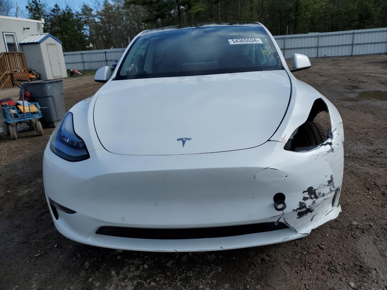 2021 Tesla Model Y vin: 5YJYGDEE0MF119815