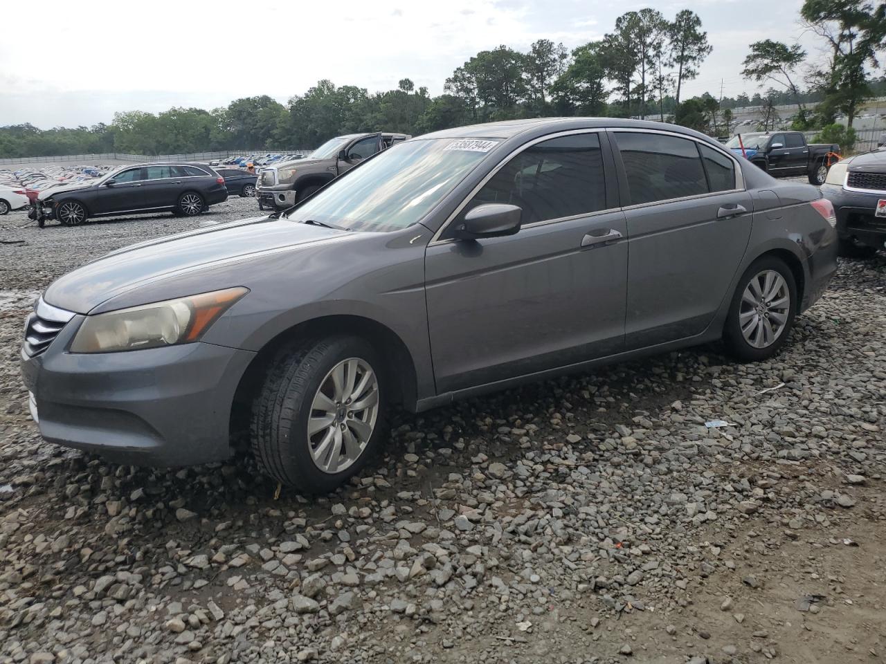 1HGCP2F80BA034469 2011 Honda Accord Exl