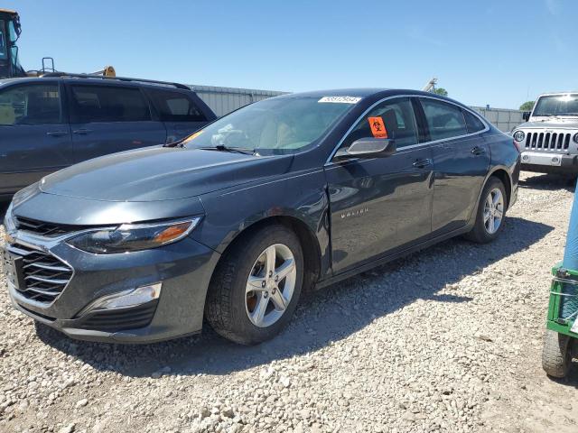 2019 Chevrolet Malibu Ls VIN: 1G1ZB5ST3KF119918 Lot: 53512954