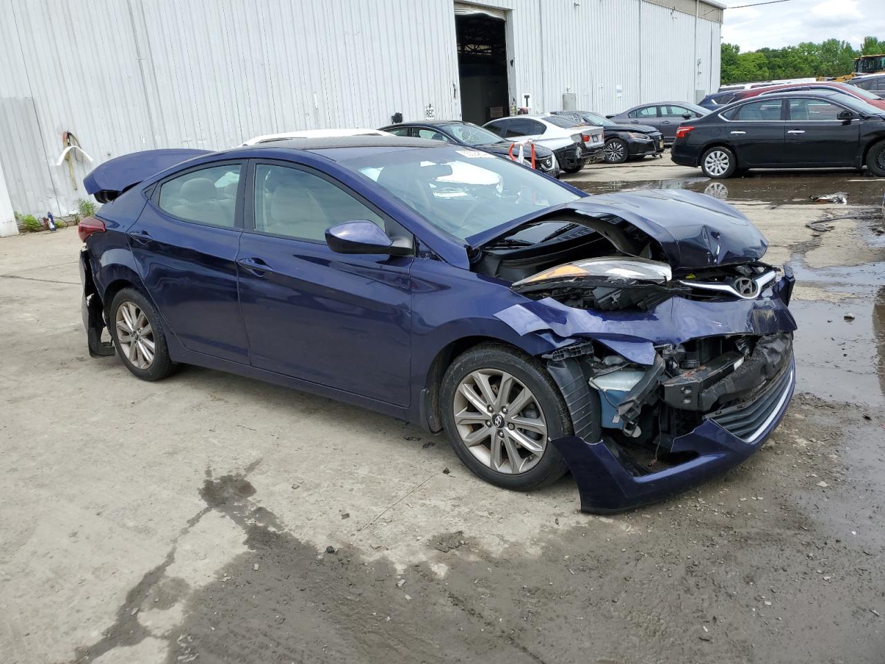 5NPDH4AE7EH529788 2014 Hyundai Elantra Se