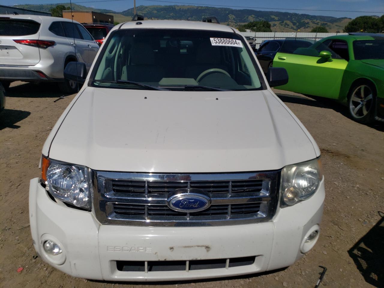 Lot #2994068301 2011 FORD ESCAPE XLT