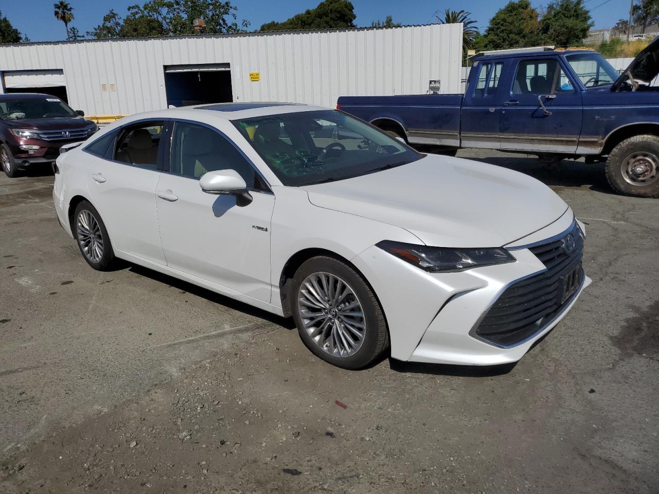 2019 Toyota Avalon Xle vin: 4T1B21FB9KU009756